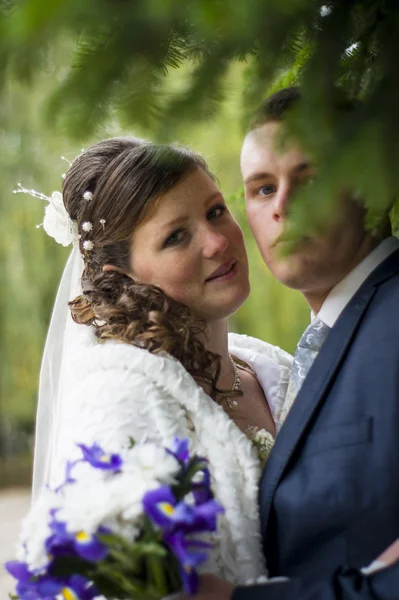 Lo sposo e la sposa a piedi in autunno parco baci — Foto Stock