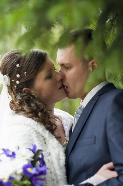 Lo sposo e la sposa a piedi in autunno parco baci — Foto Stock