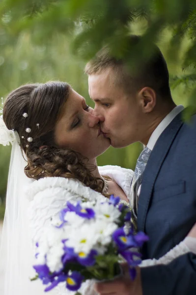 El novio y la novia a pie en el parque de otoño besándose —  Fotos de Stock