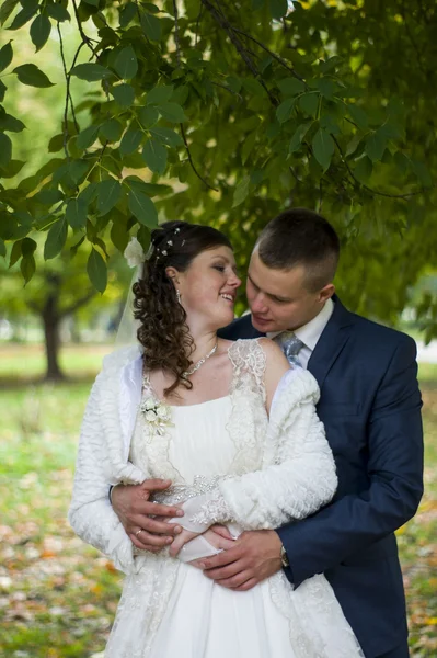 Lo sposo e la sposa a piedi in autunno parco baci — Foto Stock