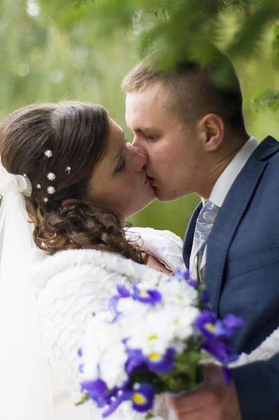 The groom and the bride on walk in autumn park kissing — Stock Photo, Image