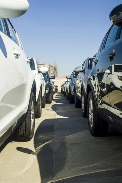 Нові паркування автомобілів — стокове фото
