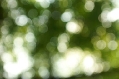 Yumuşak yeşil doğal bokeh arka plan