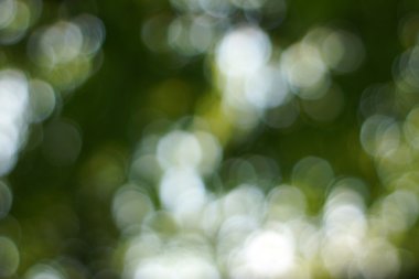 Yumuşak yeşil doğal bokeh arka plan