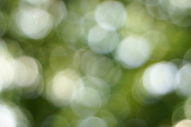 Yumuşak yeşil doğal bokeh arka plan