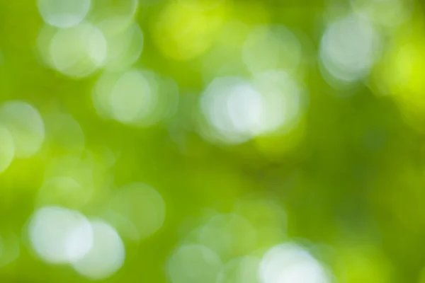 Soft green natural bokeh background — Stock Photo, Image