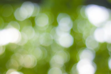 Yumuşak yeşil doğal bokeh arka plan