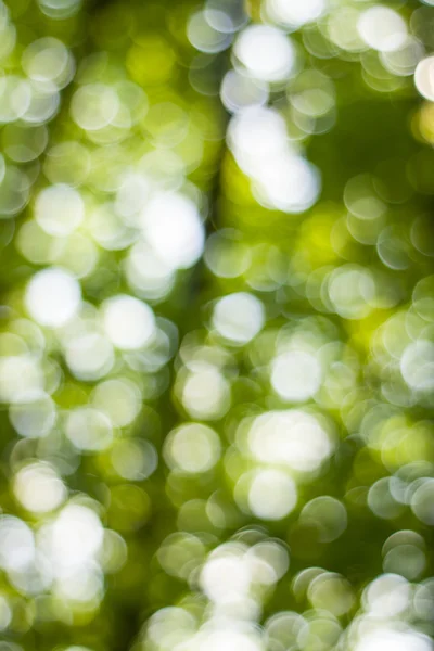 Soft green natural bokeh background - Stock Image - Everypixel