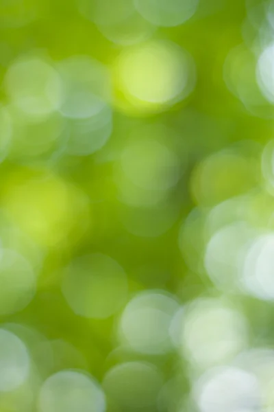 Soft green natural bokeh background — Stock Photo, Image