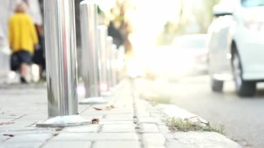 Bir adam kürekle bir bahçe diker.