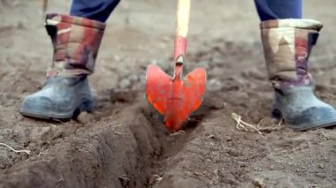 Bir adam kürekle bir bahçe diker.