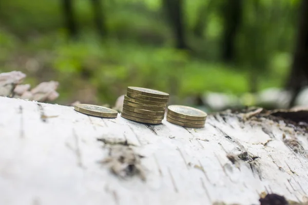 Moedas forradas em cascata no fundo do musgo — Fotografia de Stock