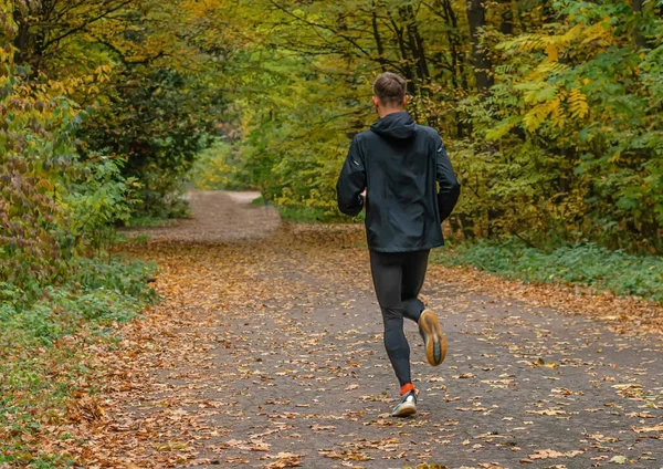 Idrottaren Springer Längs Skogsväg Joggingträning Höstskogen Stockbild