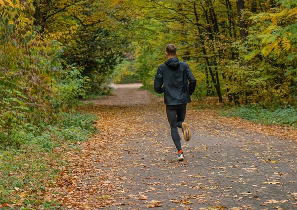 Idrottaren Springer Längs Skogsväg Joggingträning Höstskogen Royaltyfria Stockfoton