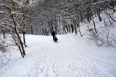 Aileler kızaklara biniyor, kış parkı manzarası