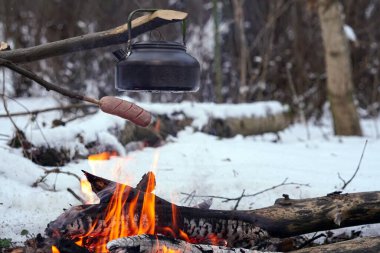 Çubuktaki sosisler ateşte kızardı. Kış Ormanı.