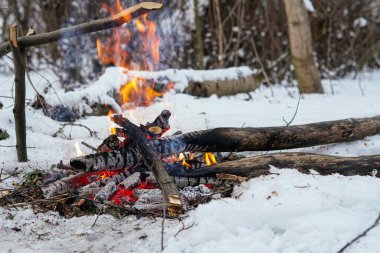 Kış ormanda yangın