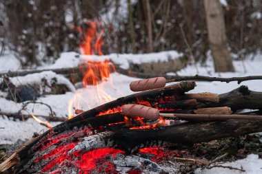 Çubuktaki sosisler ateşte kızardı. Kış Ormanı.