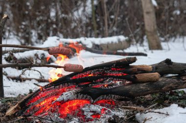Çubuktaki sosisler ateşte kızardı. Kış Ormanı.
