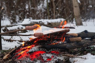 Çubuktaki sosisler ateşte kızardı. Kış Ormanı.