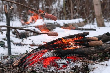 Çubuktaki sosisler ateşte kızardı. Kış Ormanı.