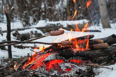 Çubuktaki sosisler ateşte kızardı. Kış Ormanı.
