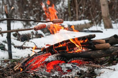 Çubuktaki sosisler ateşte kızardı. Kış Ormanı.