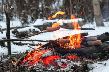 Çubuktaki sosisler ateşte kızardı. Kış Ormanı.
