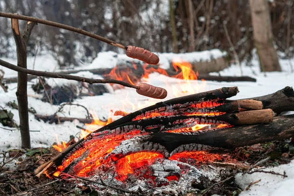 Çubuktaki sosisler ateşte kızardı. Kış Ormanı.