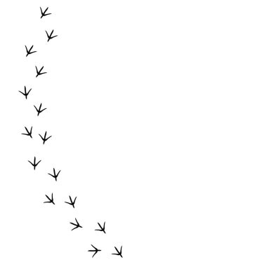 Sol tarafında hindi izi olan vektör geçmişi. Şükran Günü duvar kağıdı. Hindi izi. Beyaz arkaplanda Siyah Kuş ayak izleri.