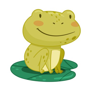 Cute frog sitting on lotus leaf in pond. Green funny amphibian toad character cartoon vector illustration vector Cute frog sitting on lotus leaf in pond. Green funny amphibian toad character cartoon vector illustration vector