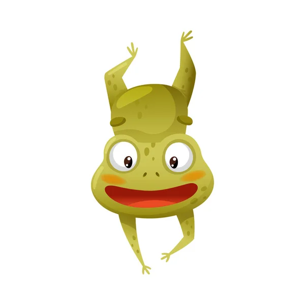 Hop Ropucha Vector Art Stock Images ページ 3 Depositphotos