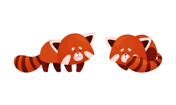 Spici Panda Cervena Vector Art Stock Images Depositphotos