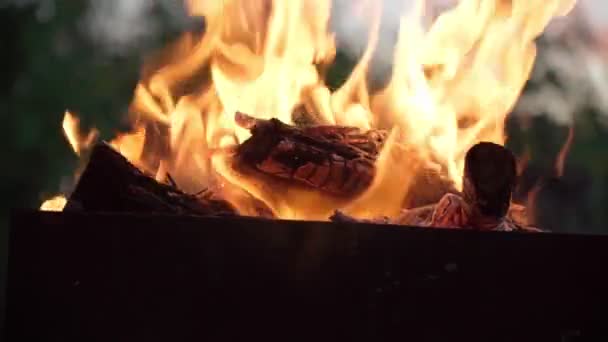 Brazier with fire and coals for cooking on the fire. Background. Selective focus, close-up — Stock Video