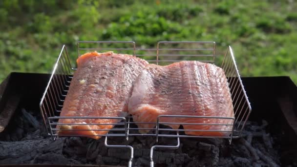 鮭やマスの赤魚のグリルフィレ。炭火で夕食のシーフードステーキフィレロースト。選択的焦点 — ストック動画