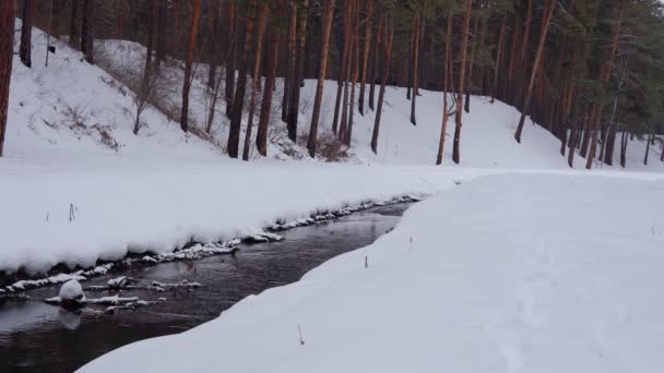 Paysage avec des arbres enneigés, rivière avec dans l'eau en soirée froide. Espace de copie — Video