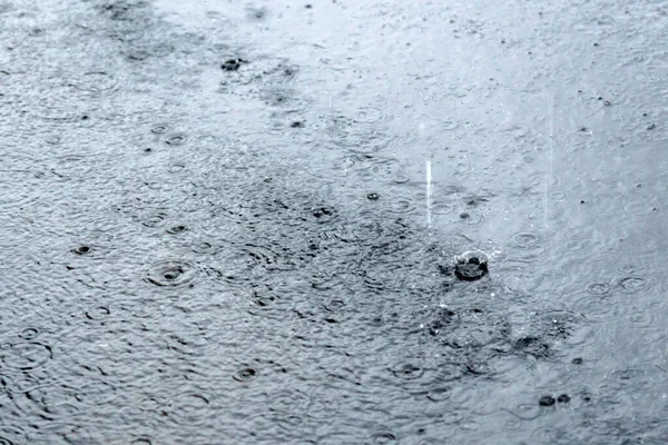 Дождь Над Лужей Рябь Поверхности Воды Капли Дождя Выпадают Селективный — стоковое фото