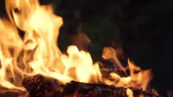 Braseiro com fogo e carvão para cozinhar no fogo. Contexto. Foco seletivo, close-up — Vídeo de Stock