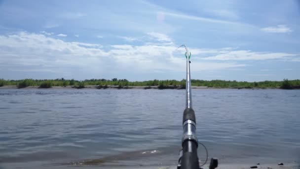 Yazın nehirde balık tutmak. Hobi ve boş zaman kavramı. Uzayı kopyala Seçici odak — Stok video