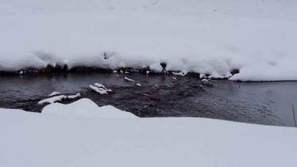 Folyó télen. Téli erdei folyó folyik. Téli hóerdő folyó folyik — Stock videók