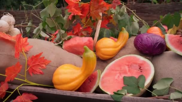 Fiesta de la cosecha de otoño con frutas, calabazas sandías col y flores de colores. Diseño en el estilo de país para la temporada de otoño. — Vídeo de stock
