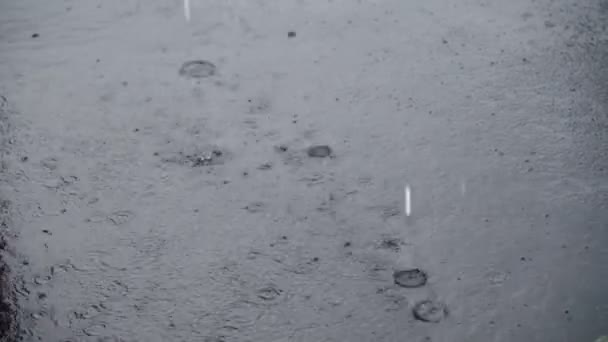 Дощ над калюжею стискається на поверхні води, коли падає дощ. Вибірковий фокус — стокове відео