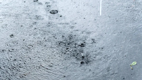 Капли Дождя Падают Воду Луже Улице Селективный Фокус — стоковое фото