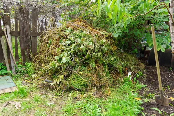 Großer Haufen Alter Äste Aus Dem Garten Säuberung Des Territoriums — Stockfoto