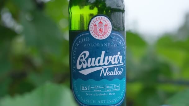 Volzhsky, Rusia-25 de septiembre de 2021: Budvar nealko non-alcoholic close up. Enfoque selectivo — Vídeos de Stock