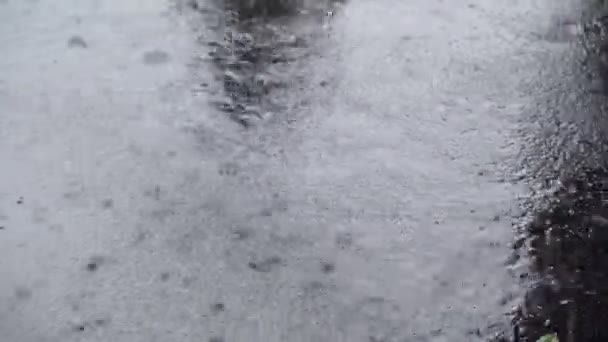 雨は通りの水たまりの中の水の上に落ちる。選択的焦点 — ストック動画