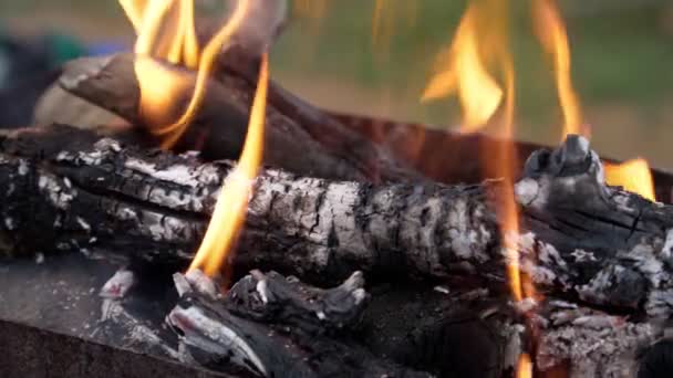 Lareira queima lareira fechar ícone de câmera lenta. fundo de fogo, queima de carvão vermelho de madeira. — Vídeo de Stock