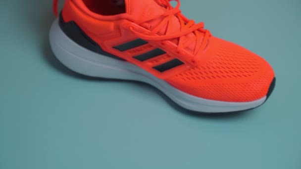Tyumen, Russia-13 Νοεμβρίου 2021: Πορτοκαλί adidas Running Shoes. Λογότυπο Adidas, πολυεθνική εταιρεία. — Αρχείο Βίντεο