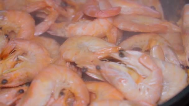 Camarones fritos en una sartén. Mariscos saludables, Mariscos, Cocina de camarones Primer plano. Cocina asiática. Moti lento. — Vídeo de stock