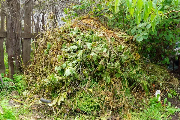 Trockene Blätter Und Äste Großer Haufen Freien Hinterhof Auf Grünem — Stockfoto